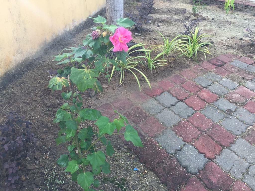 The Garden Vacation Home Lumut Εξωτερικό φωτογραφία
